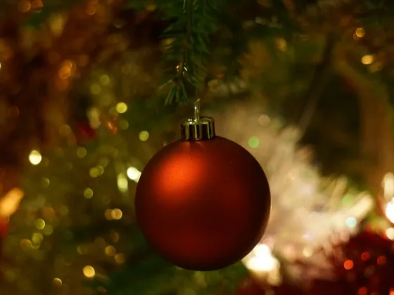 Julebaggrund